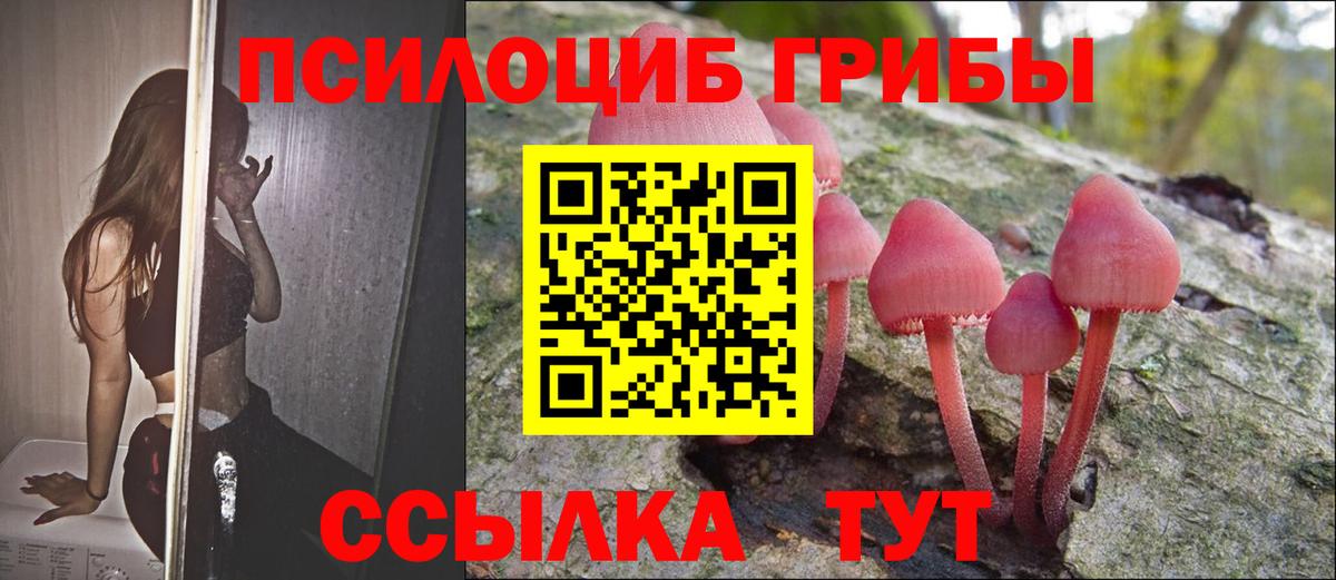 Псилоцибиновые грибы Cubensis Кирово-Чепецк
